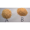 Garlic Granules Grade a and Garlic Granules B